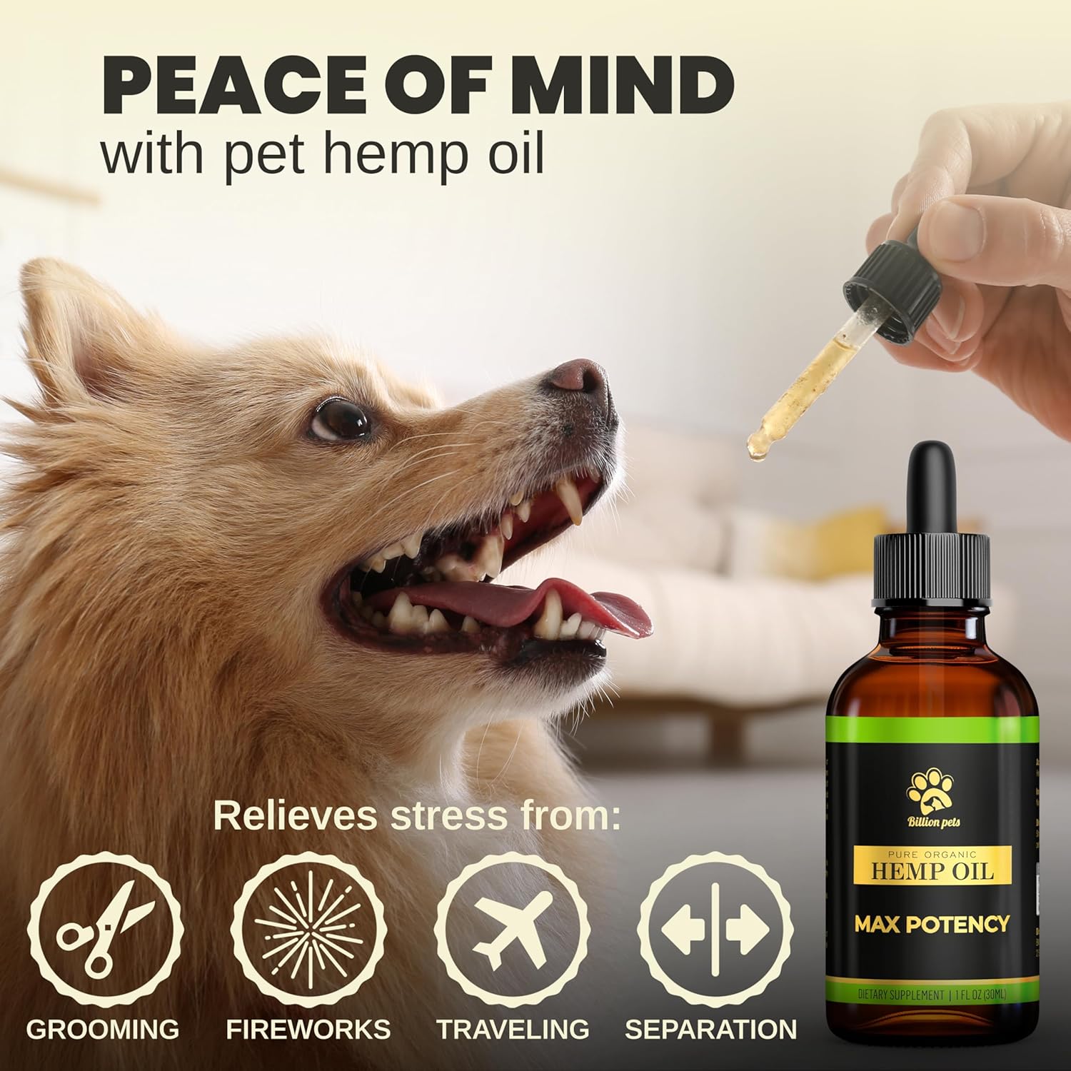 Natural anti inflammatory pet arthritis and seizure relief supplement