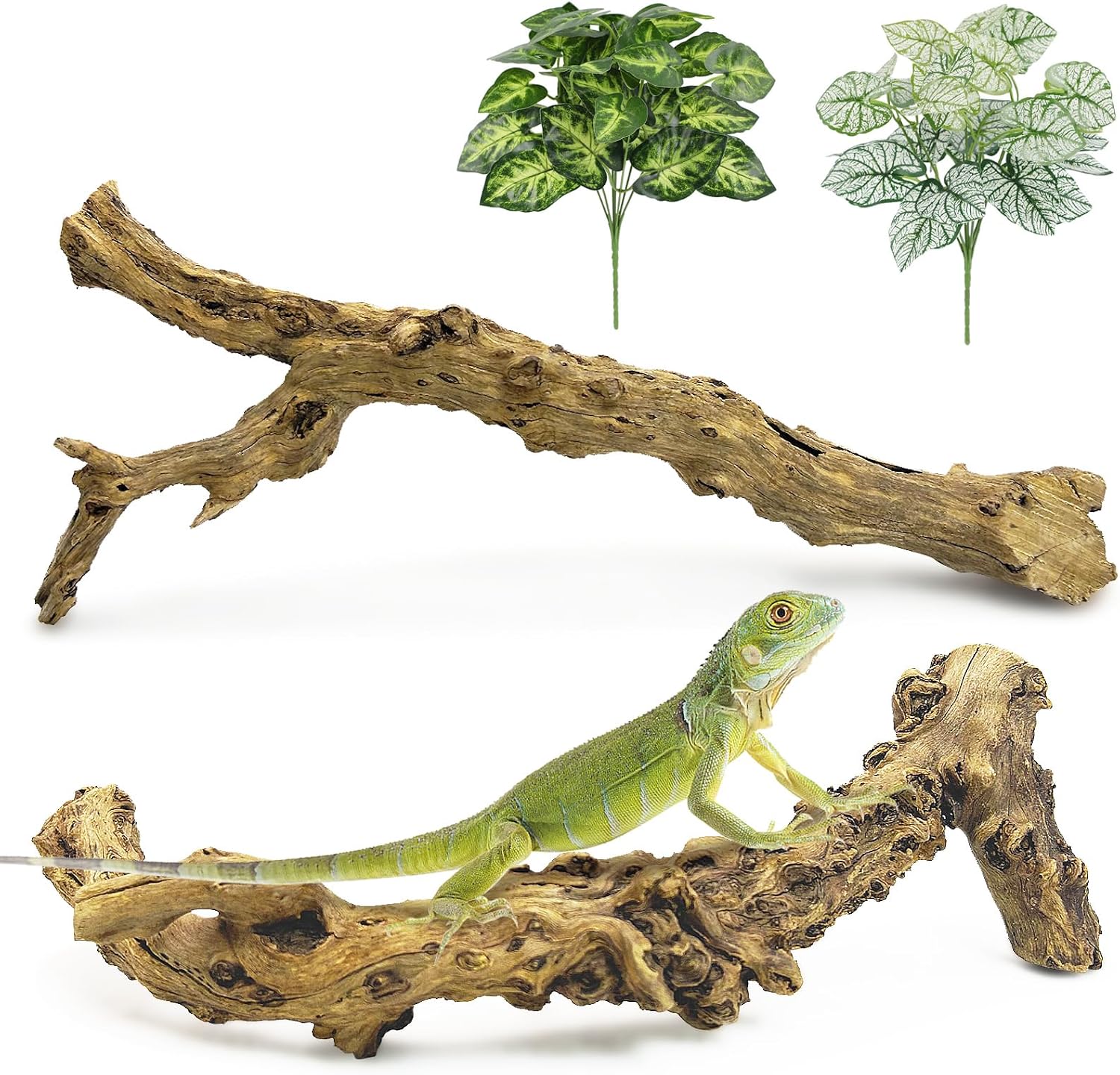 Reptile Branches for Climbing Natural Snake Climb Branch Extra Large Wood Forest Tree Trunk Decor Lizard Habitat Terrarium Decorations for Bearded Dragon Geckos Chameleon Frog - Image 12