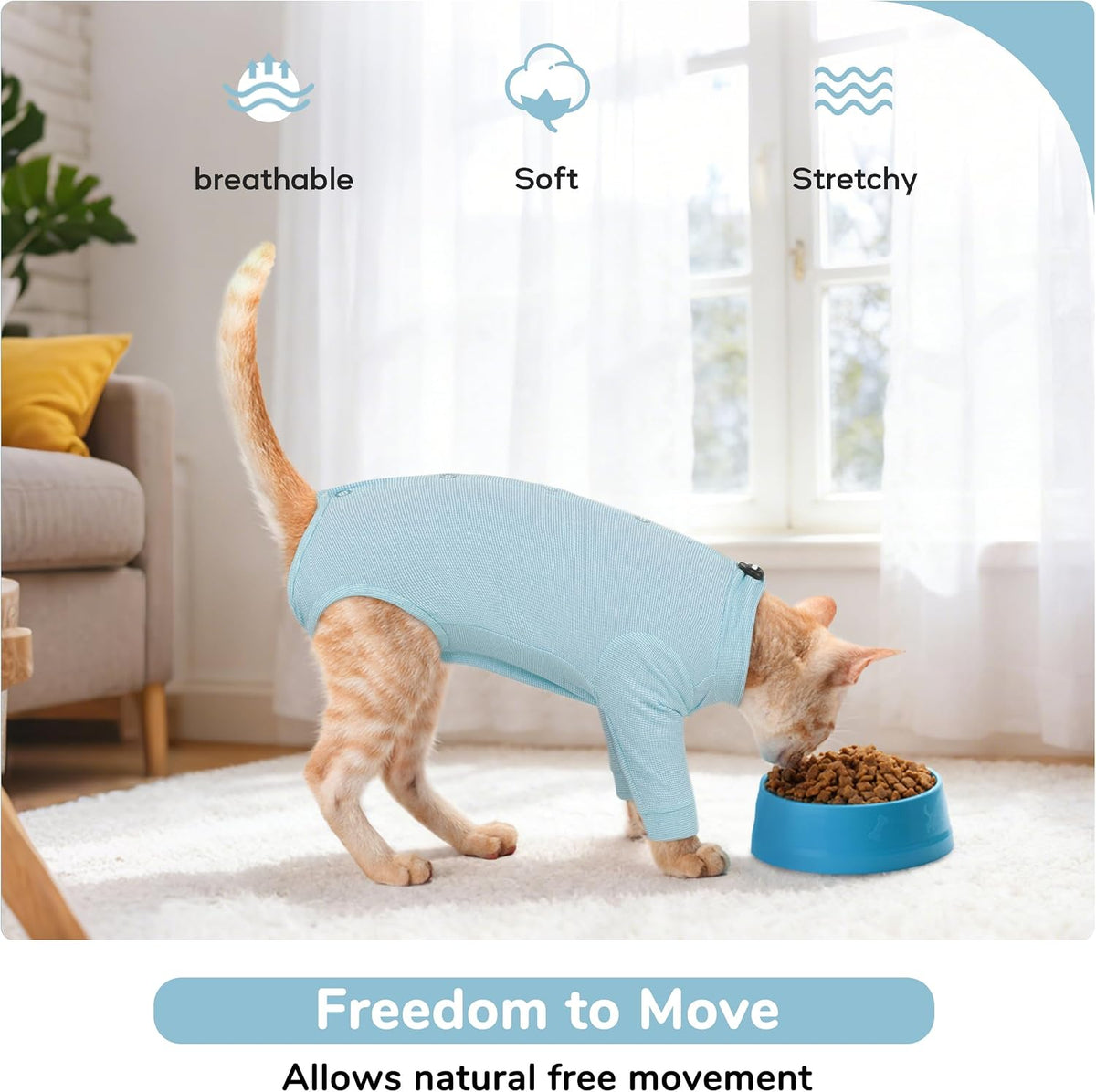 Cat wearing blue surgical recovery suit for front leg injury