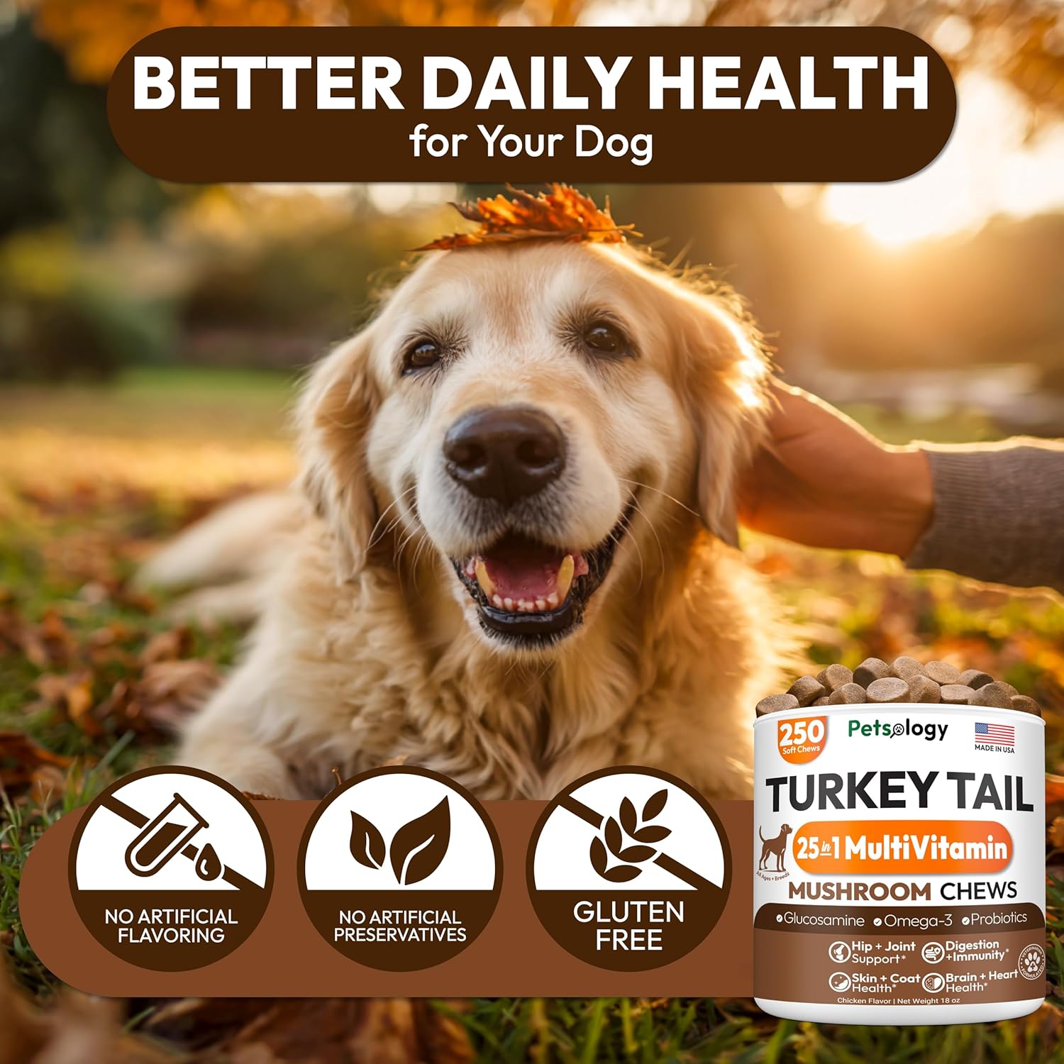 Petsology USA imported canine hip and joint supplement packaging back side.