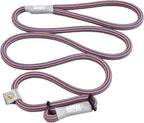 Premium dog training collar lead combo by Cesar Millan on white background.