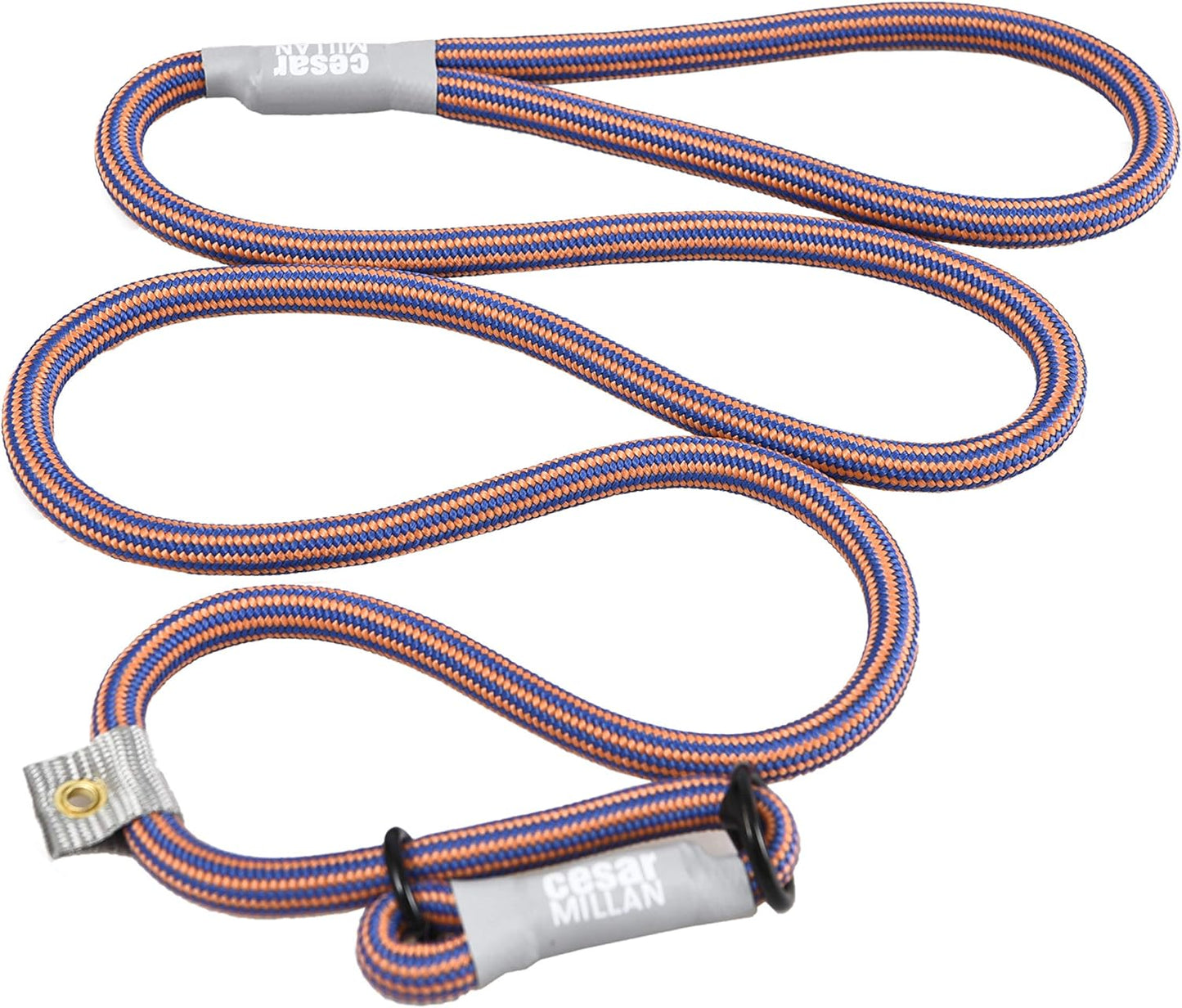 Premium dog training collar lead combo by Cesar Millan on white background.
