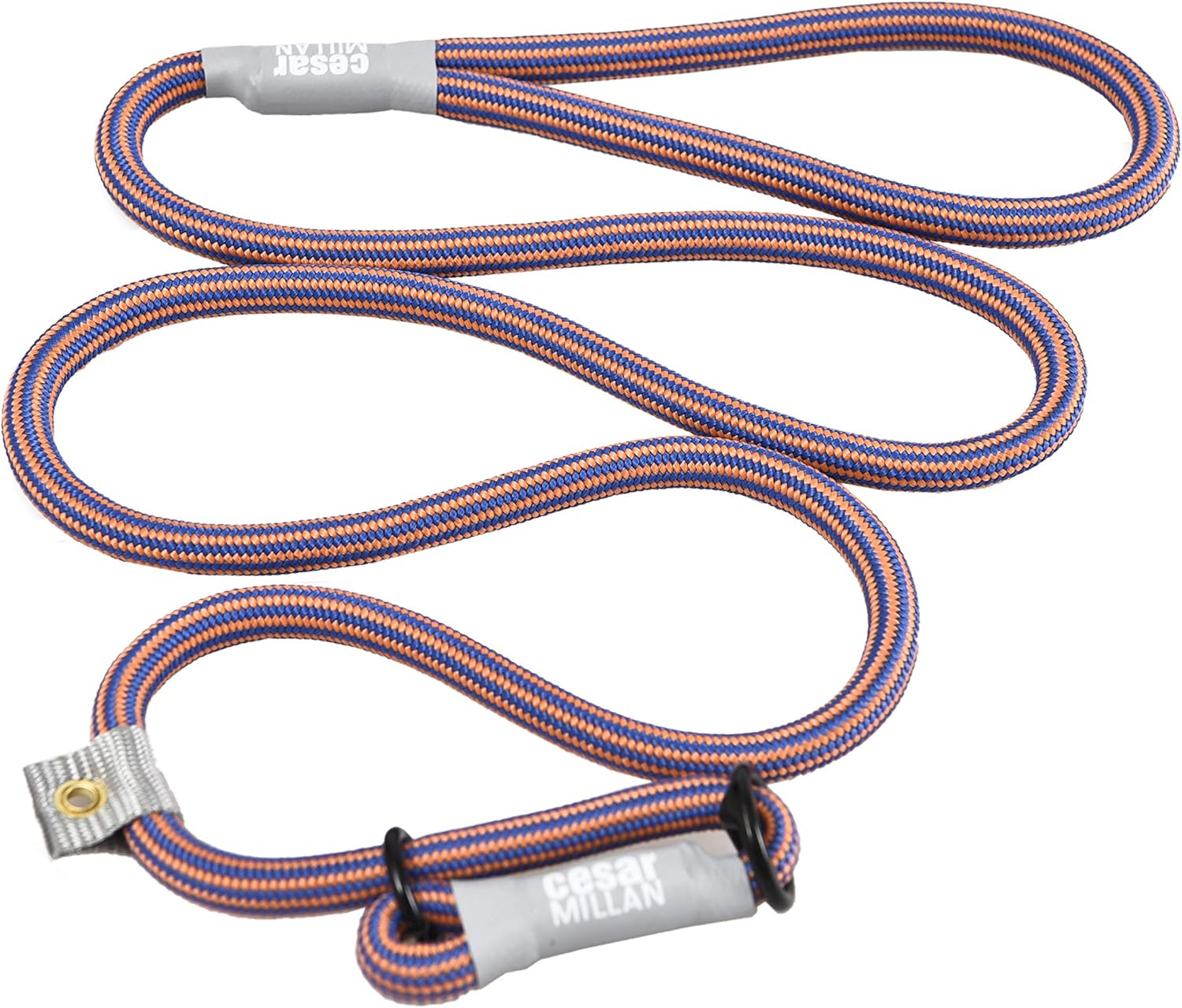Premium dog training collar lead combo by Cesar Millan on white background.