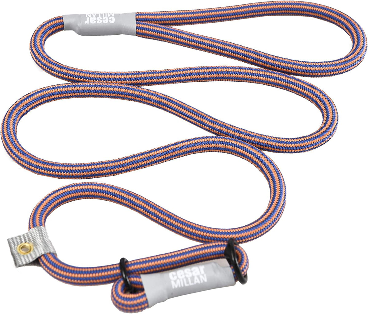 Premium dog training collar lead combo by Cesar Millan on white background.