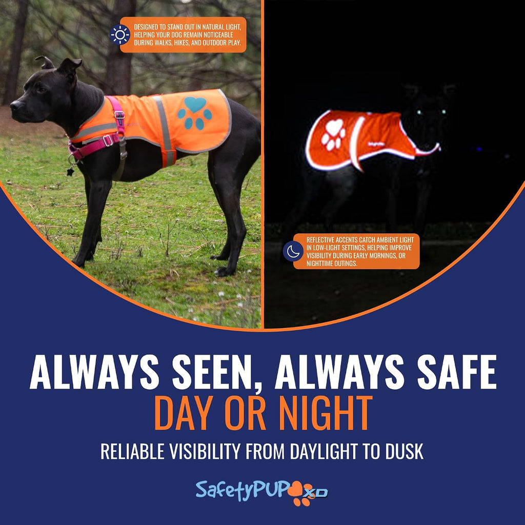 Side profile of dog wearing SafetyPUP XD hi-visibility vest