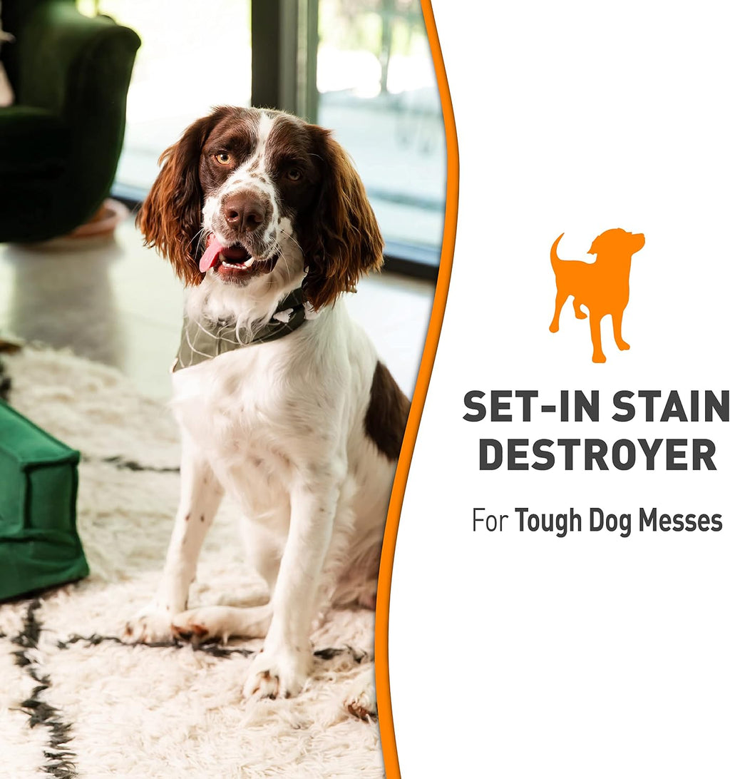 Natures Miracle dog stain cleaner applied to carpet