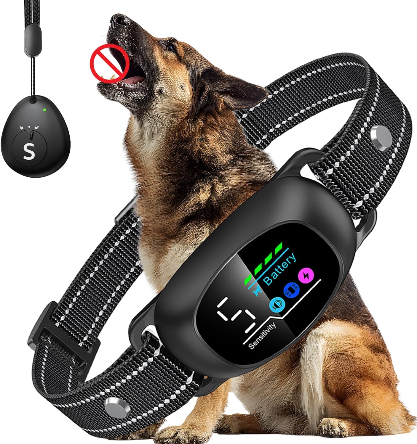Reedog dog bark collar with remote front view