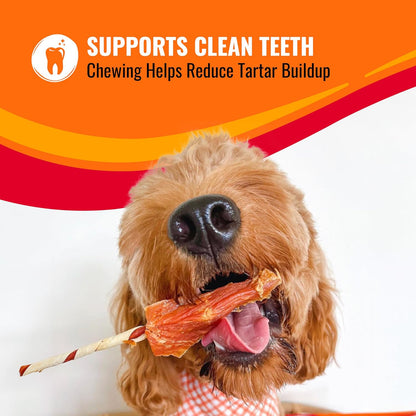 USA imported premium pet treat roll for plaque and tartar reduction.