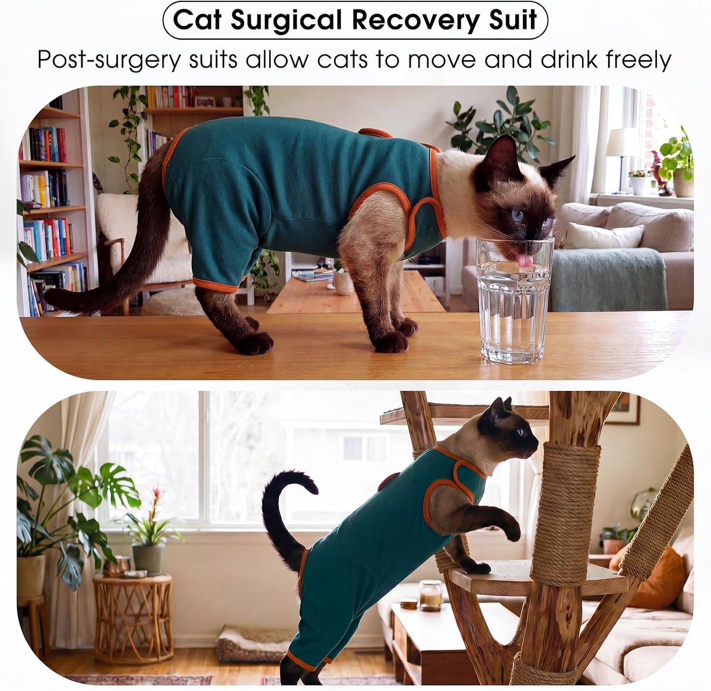 Dentrun cat surgery suit showing snap button back closure