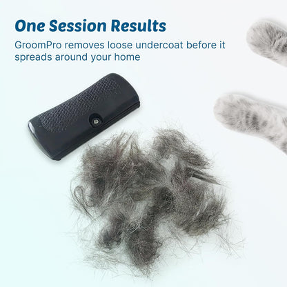 Demonstration of the central quick-release button on the Rhykin GroomPro brush releasing trapped pet hair.