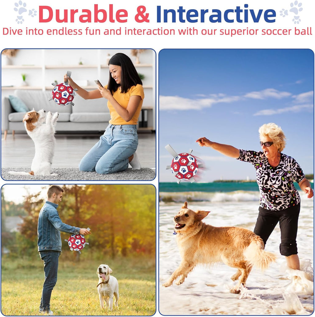 Dog playing with Diman soccer ball in outdoor setting