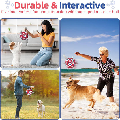 Dog playing with Diman soccer ball in outdoor setting