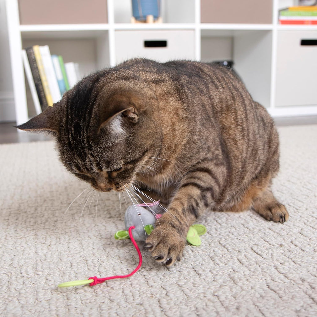 SmartyKat bouncy mouse plush dangler being used for cat training and play.