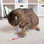 SmartyKat bouncy mouse plush dangler being used for cat training and play.