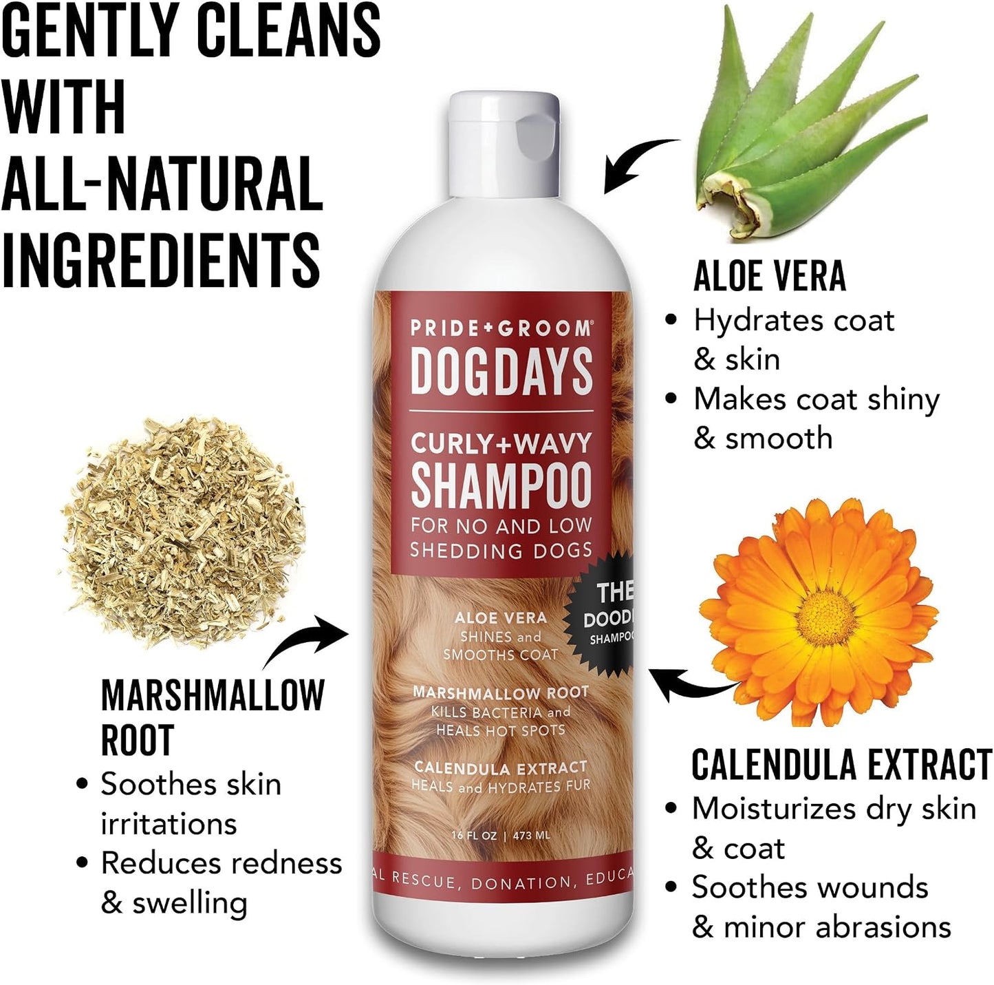 Tearless moisturizing dog shampoo for poodles and doodles bottle back label