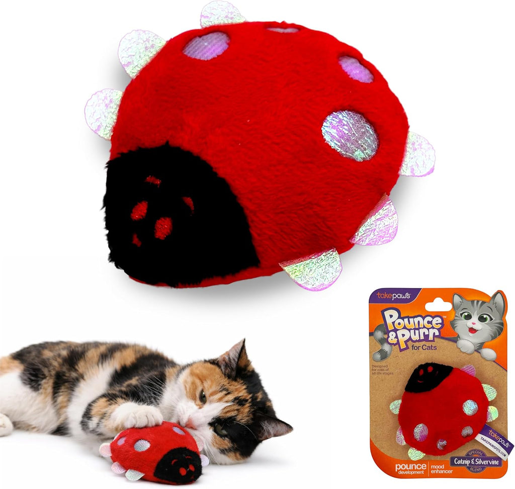 Pounce And Purr Ladybug Plush Cat Toy front view interactive kitten play toy