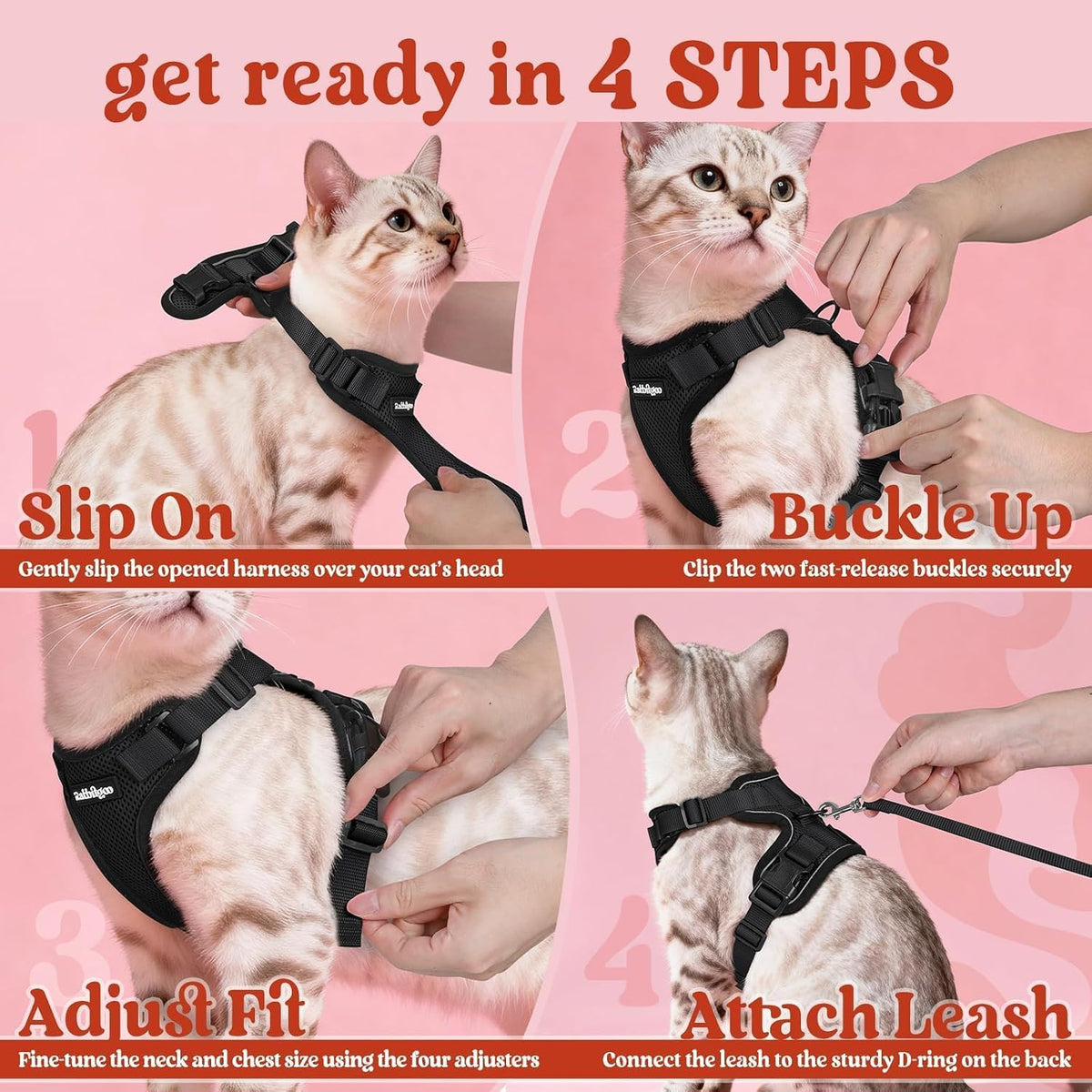 Lifestyle presentation of the extra small black cat harness and leash set