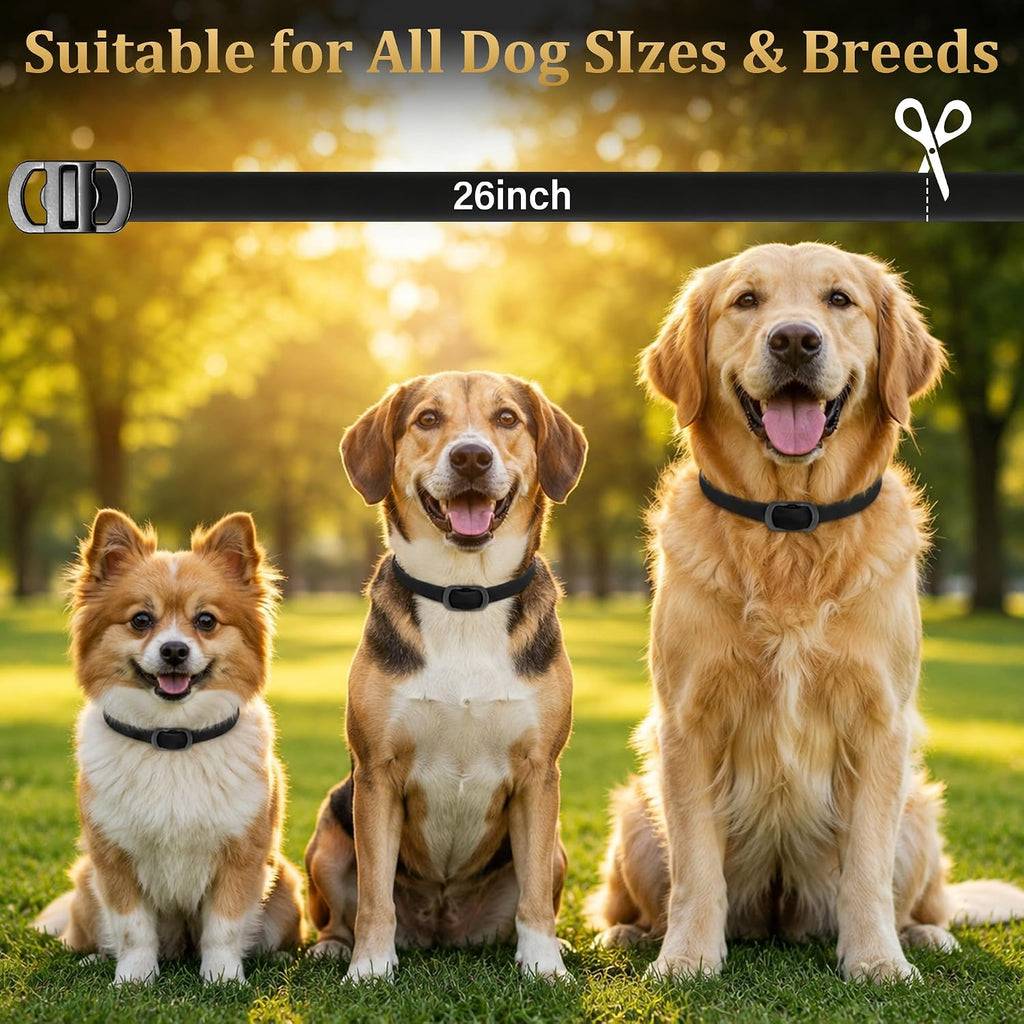 Dog wearing adjustable flea and tick collar