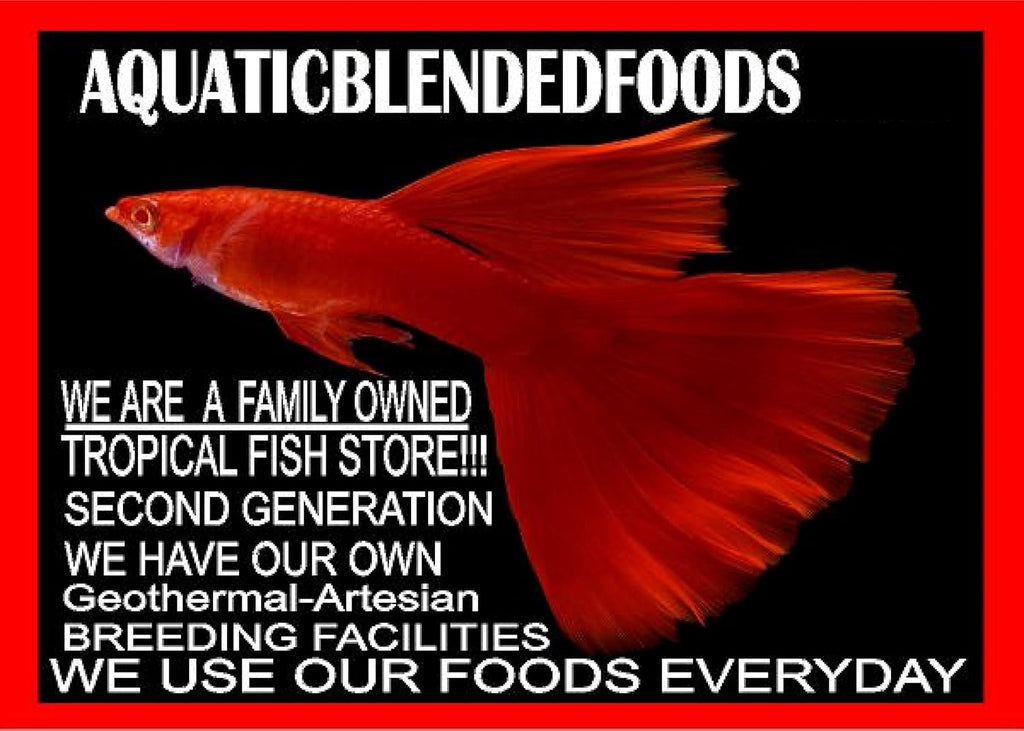 Aquaticblendedfoods sinking food for bottom dwellers in 4 ounce pack