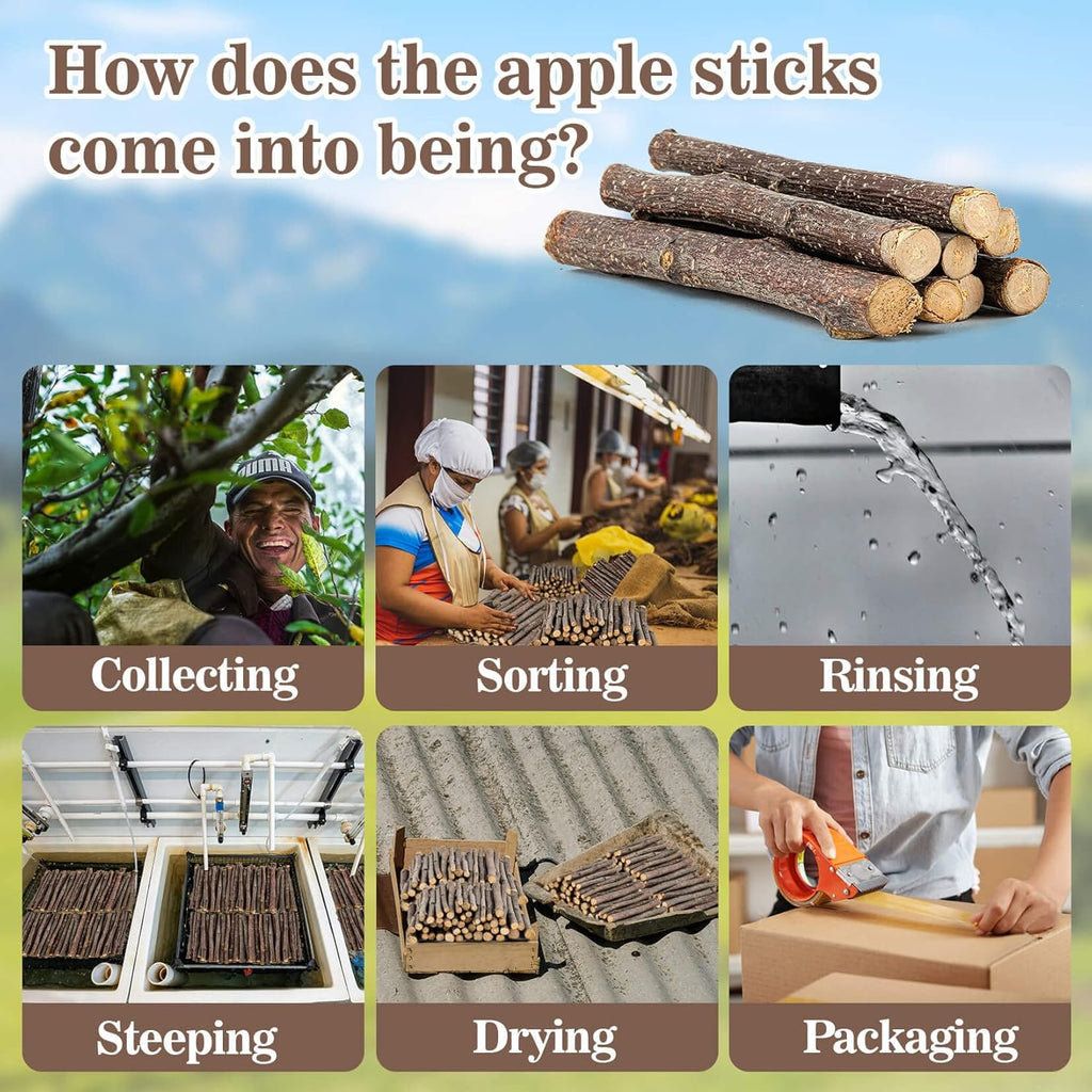 Sukh organic apple sticks for rabbits and hamsters