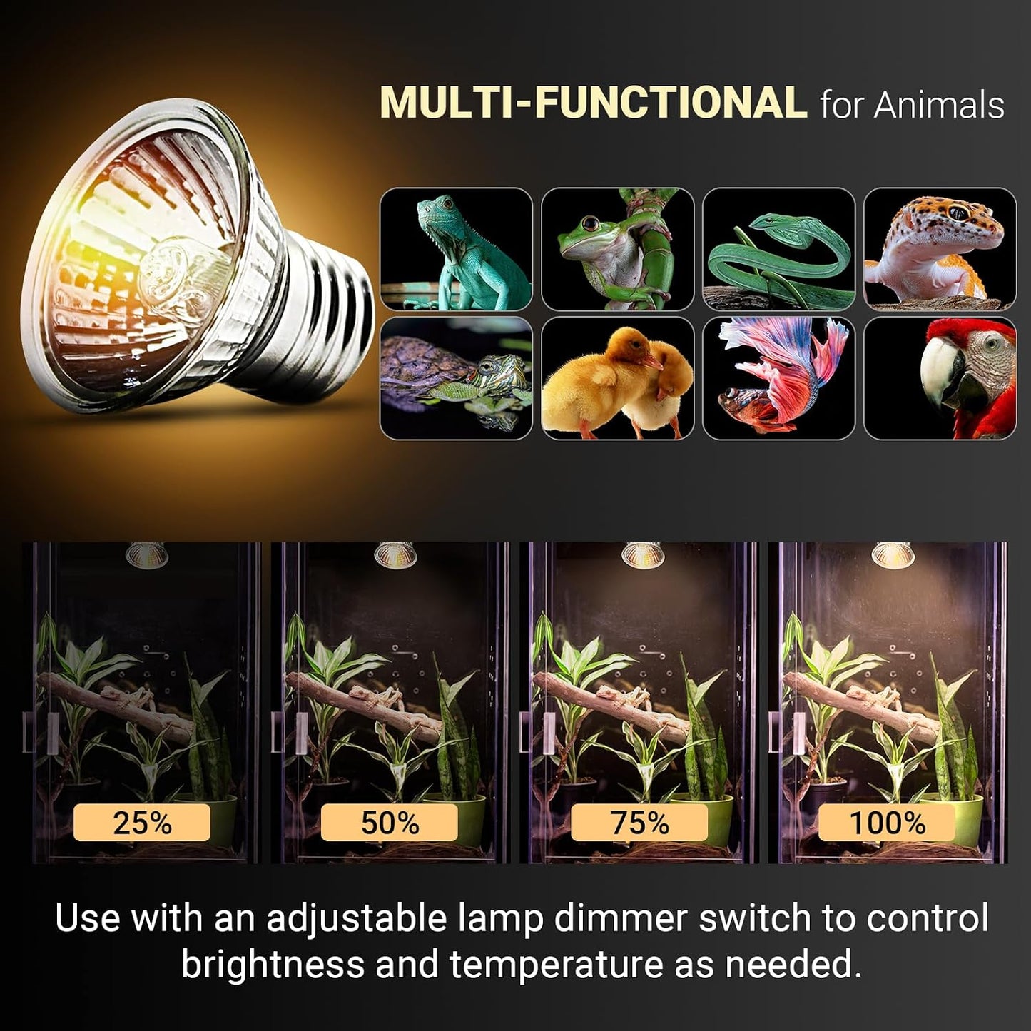 CalPalmy 50W basking light bulb installed in ceramic fixture