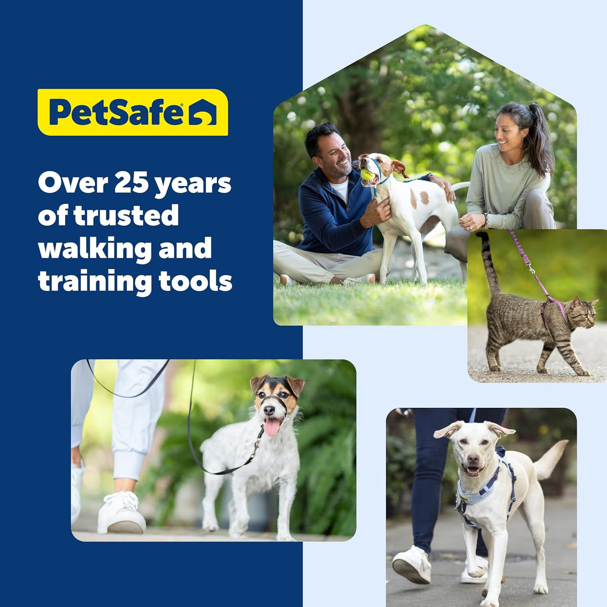 PetSafe anti pull dog harness laid flat showing build quality