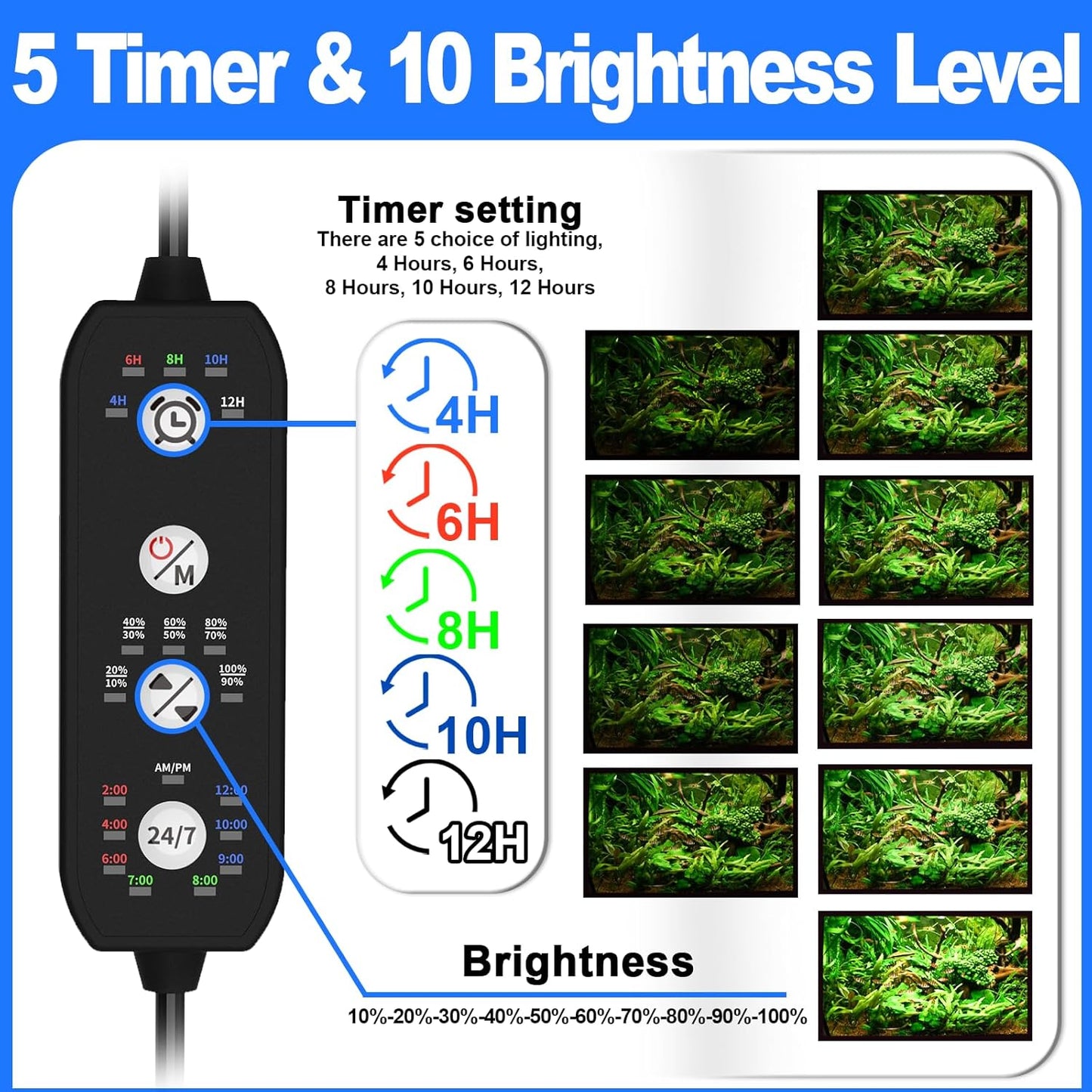 Seaoura light displaying 24/7 cycle color spectrum