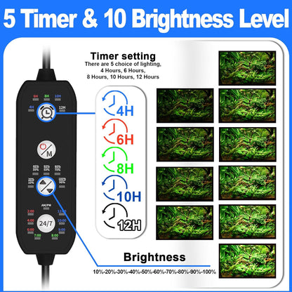 Seaoura light displaying 24/7 cycle color spectrum