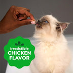 Greenies premium two point one ounce chicken cat treat pouch