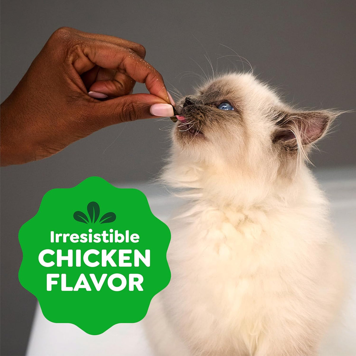 Greenies premium two point one ounce chicken cat treat pouch