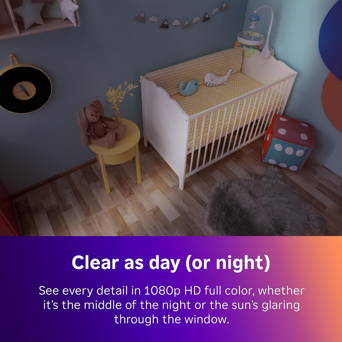 Roku indoor camera monitoring a pet in a living room