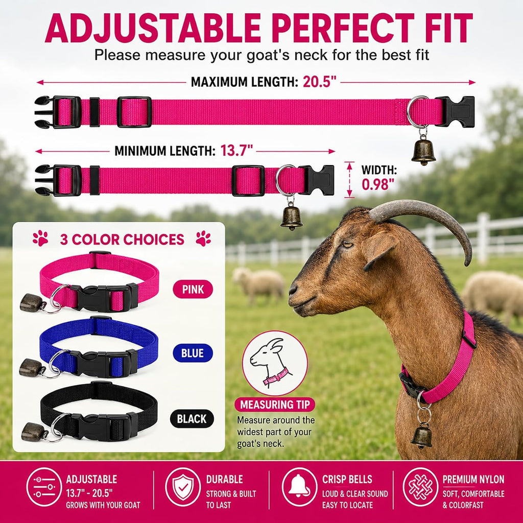 Close-up of the ABS quick-release buckle on the Gindoor sheep collar