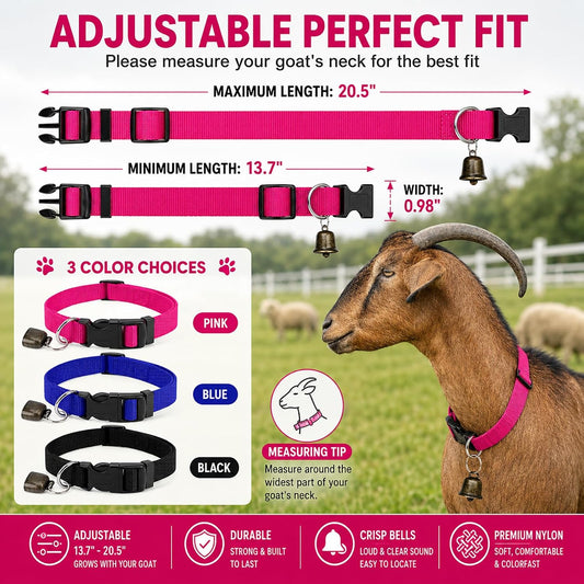 Gindoor high density nylon sheep collar close up highlighting the quick release ABS buckle