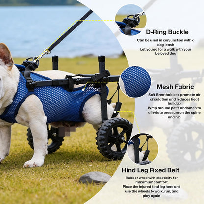 Close up of HiSnug XS pet wheelchair harness system