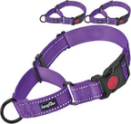 haapaw 2 Packs Martingale Dog Collar with Quick Release Buckle Reflective Dog Training Collars for Small Medium Large Dogs (L Neck 17"-21", Beige, 1+1 Packs) - Image 10