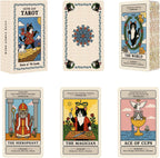 BWTY Cat Tarot Cards for Beginners front view of the 78 card deck