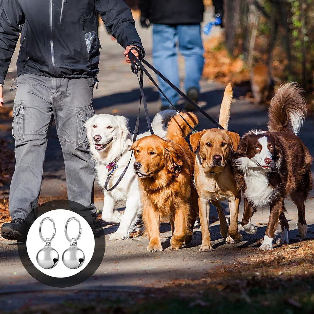 Polished silver pet charms for dog and cat tracking