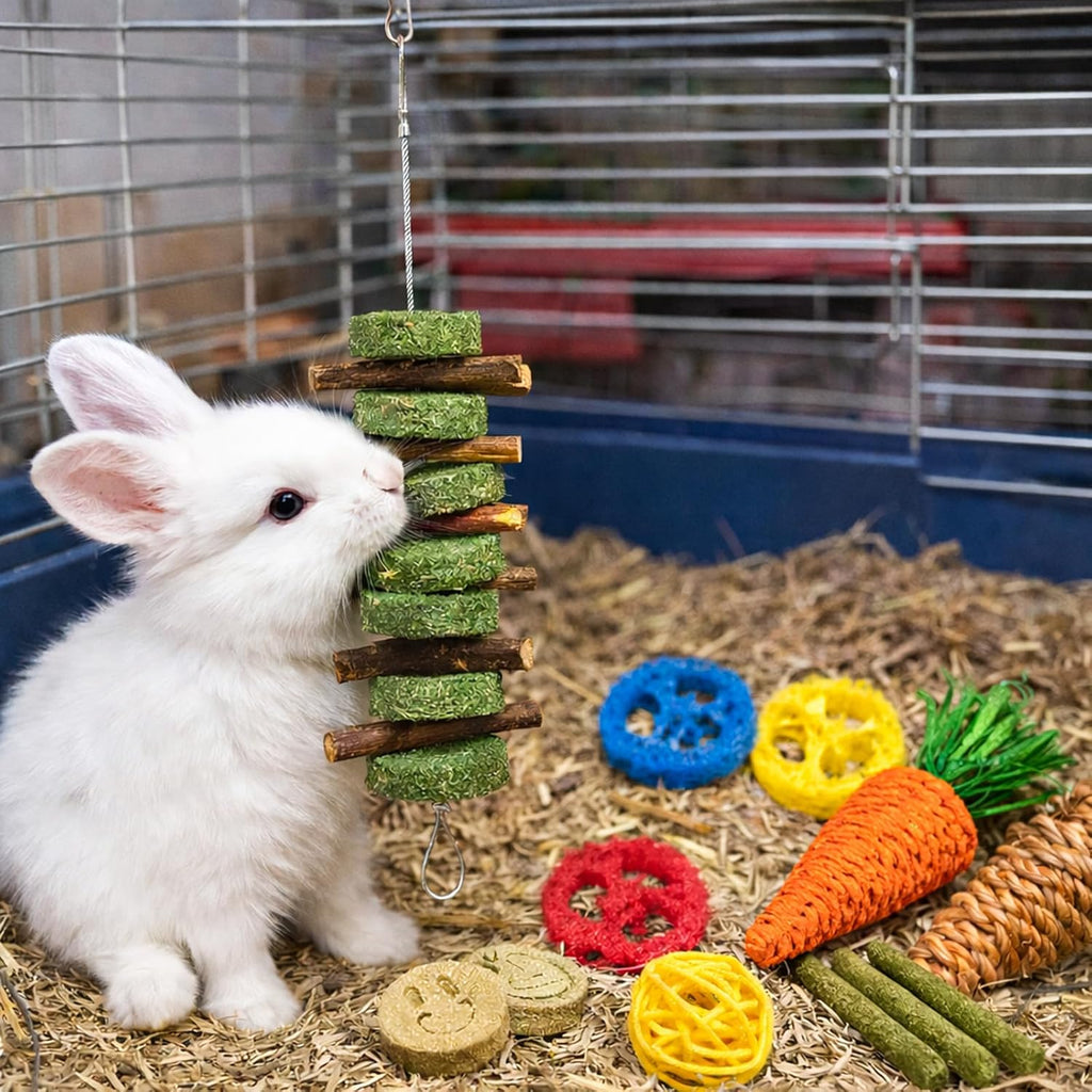 Grddaef hamster chew treats woven carrots and loofah