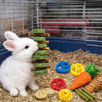 Grddaef hamster chew treats woven carrots and loofah