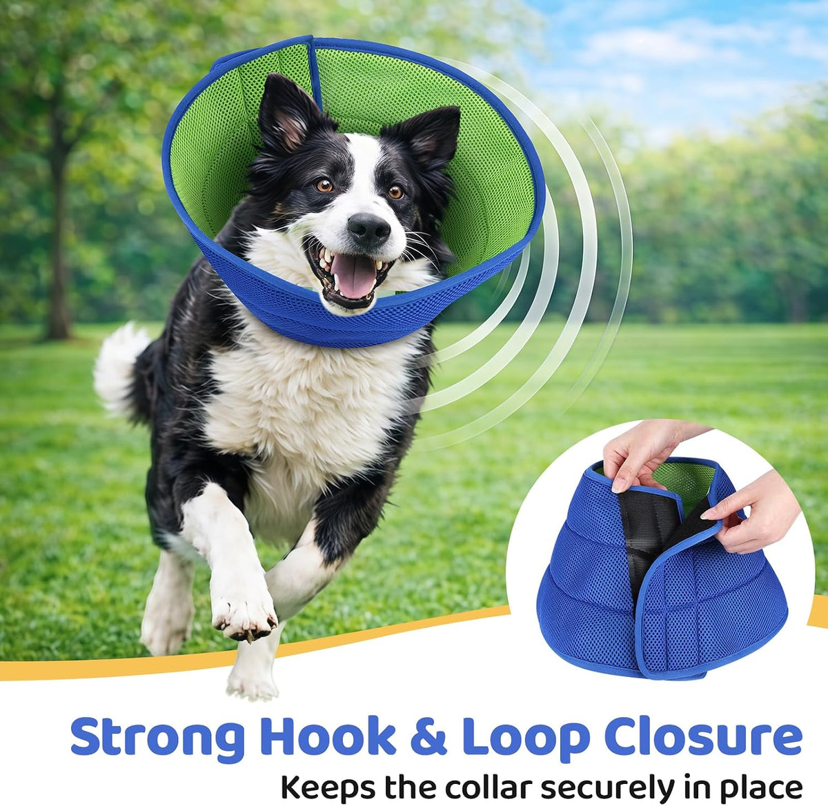 Size comparison chart for babday dog and cat recovery collars