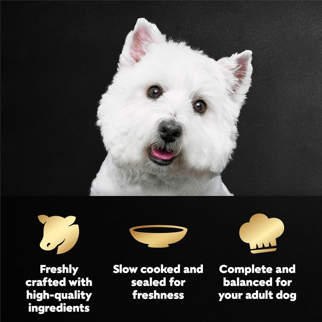 Cesar wet dog food mini pouches 20 count pack for adult dogs