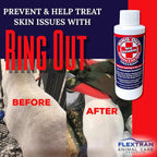 Safe topical treatment for horses and small animals