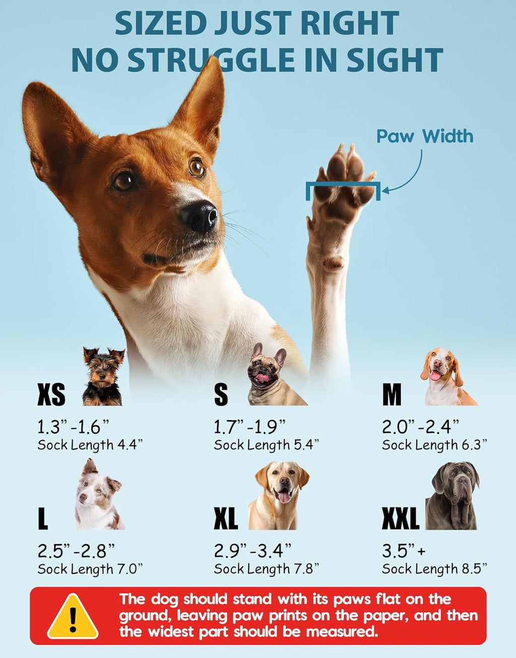 Packaging of Purrzone 6 piece dog sock set