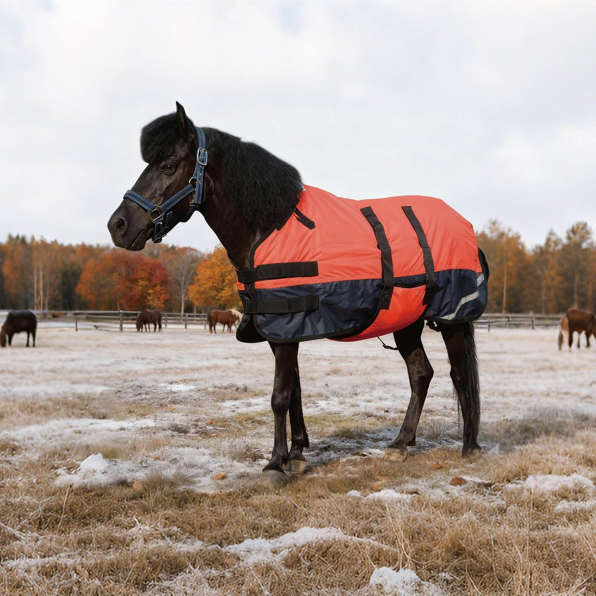Gallopoff fluorescent red waterproof turnout blanket tail cover view