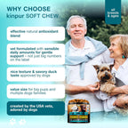 Kinpur Pet Care eye health vitamin container displaying breed usage instructions