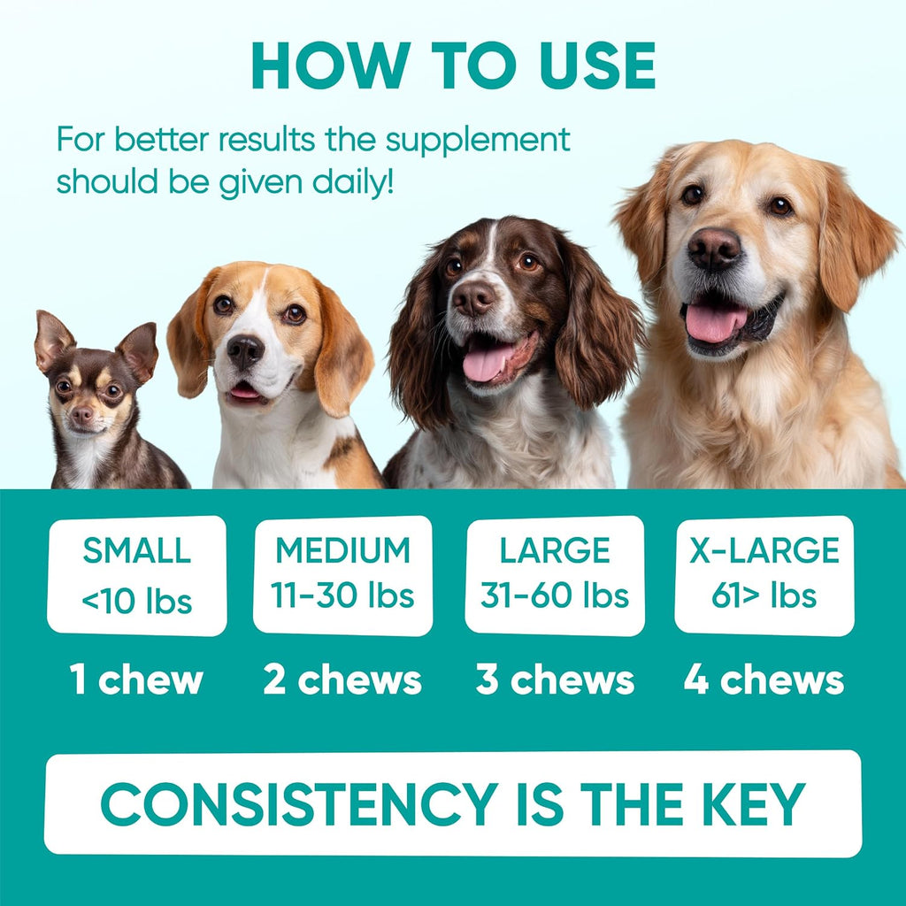 Hemp Calming Chews for Dogs - Dog Calming Chews for Anxiety Relief, Stress, Separation, Fireworks, Thunder, Travel, Vet Visits - USA Product - 120 Soft Treats with Melatonin, Chamomile, Passion Flower - Image 9
