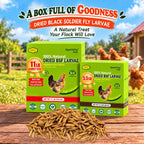 Amzey 11 LB Dried Black Soldier Fly Larvae, High-Calcium Chicken Treats - Image 6