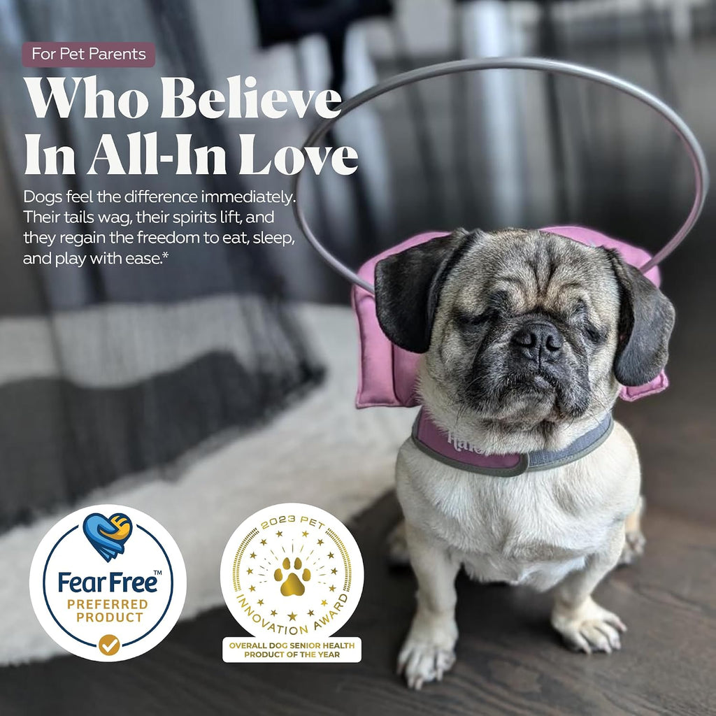 Top view of Muffin's Halo safety harness for pets