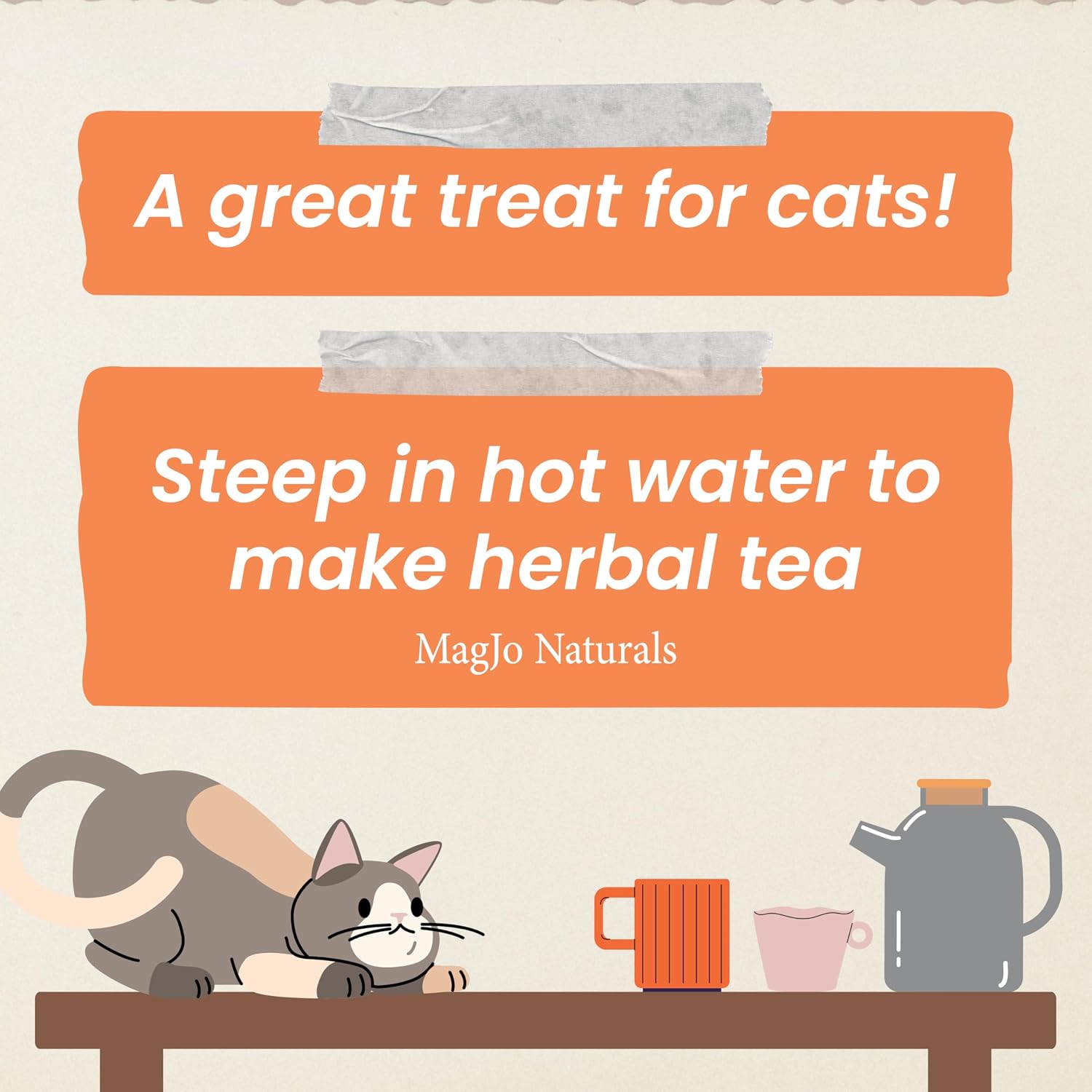 Back packaging details of MagJo Naturals natural Nepeta cataria bulk bag.