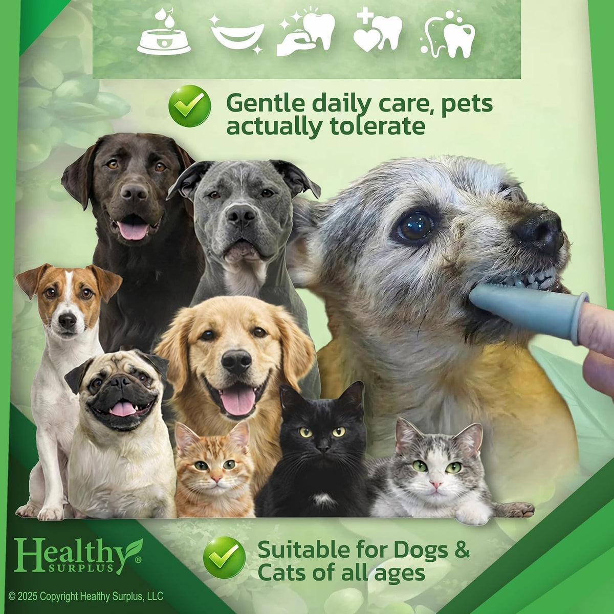 Close up of the poultry chicken flavor pet toothpaste by Healthy Surplus